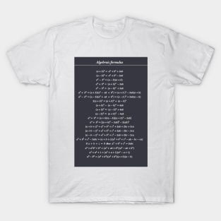 Algebraic Formulas T-Shirt